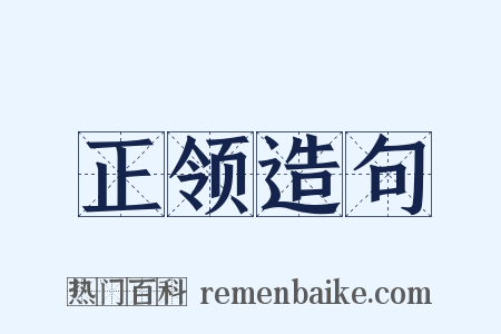 正领造句是什么意思的图片